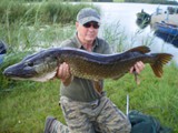 Large Pike