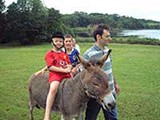 Donkey Ride