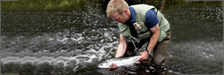 Angling Mount Cashel Lodge