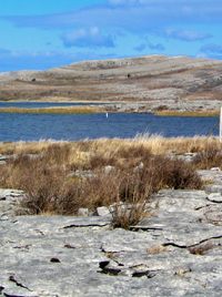 Burren Centre