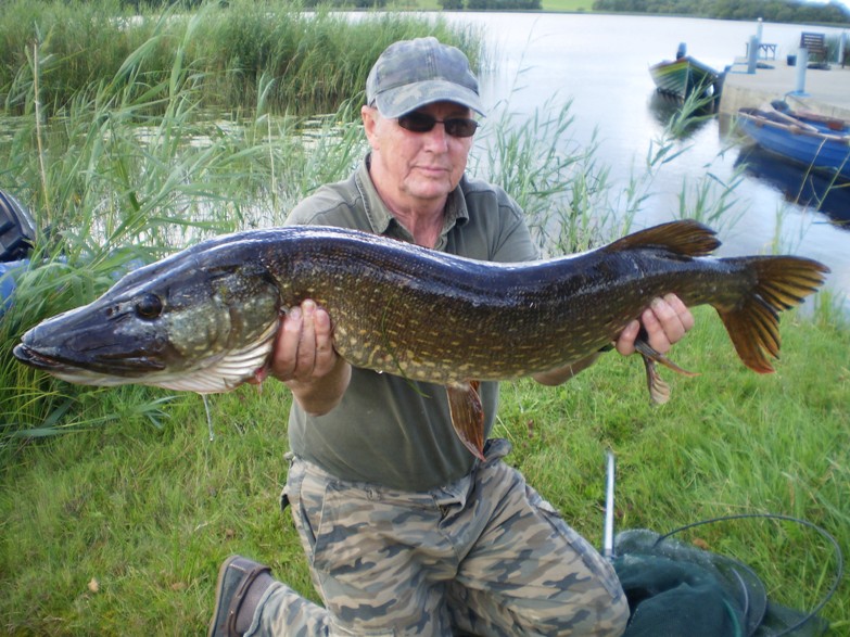 Specimen Pike from lake at Mt Cashel