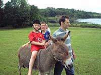 Family Fun at Mount Cashel Lodges - donkey rides are popular with children