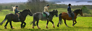 Equestrian Mount Cashel Lodge