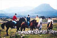 If pedal power isn't your thing why not try Pony Trekking with many centres catering for the novice rider as well as those more experienced