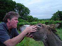 Meet our donkey, Johno