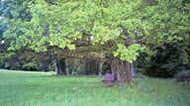 Mount Cashel Holiday Cottages enjoy a beautiful setting with parkland and lakeside walks on hand for guests to enjoy