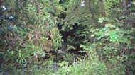 Enjoy a relaxing walk in the beautiful countryside of Co Clare